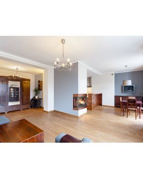 Каминная топка KAWMET W3 LB-foto6