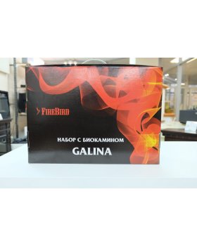 Набор с биокамином GALINA, биотопливом (1.5л.), зажигалкой-foto2