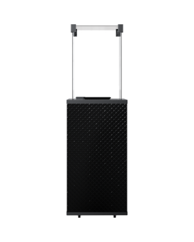 Газовая топка PATIO/MINI/G31/37MBAR/CZ/P - черное тиснение, с пультом ДУ-foto3