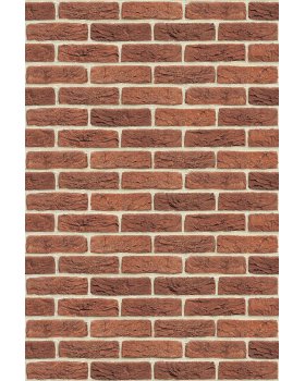 Плита ФАСПАН кирпич Красный №1002 Вертикаль (1200х800х8мм)