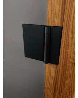 Стеклянная дверь для сауны и бани Фаворит BLACK сатин-foto3