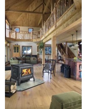 Печь-камин HERGOM Equinox дровяная-foto3