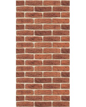 Плита ФАСПАН Красный (терракот) №1002 Вертикаль (1200х600х8мм)