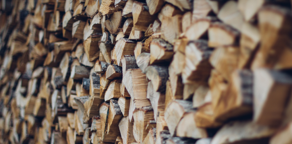 Как топить камин, какие дрова лучше?